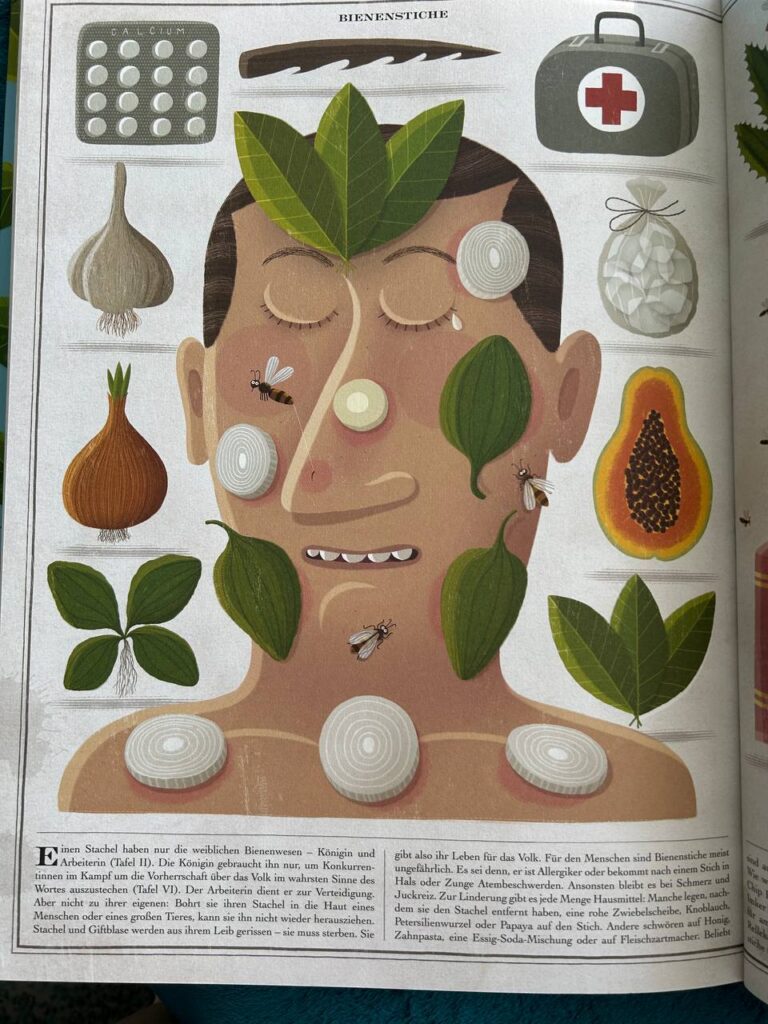 Aufgeschlagene Buchseite zum Thema Bienenstiche mit einer illustrierten Person und Darstellungen verschiedener Hausmittel.