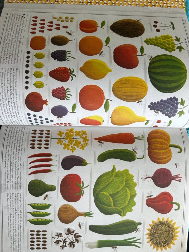 Aufgeschlagene Buchseite mit gezeichnetem Obst, Gemüse, Blumen und mehreren Bienen.